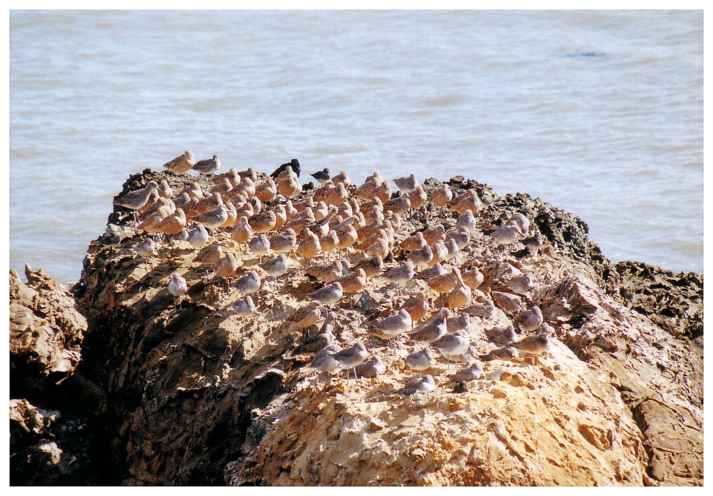 15 - Monterey Bay (0).jpg